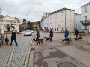 Les Beatles, Abbey Road