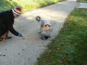 Sévérine avec JUNGLE